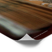 DicofrAngleミニチュアブッククレイフィッシュスケッチポスター ポスター (角)