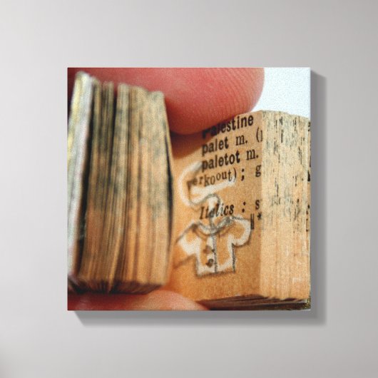 DicofrAngleミニチュアブックジャケットスケッチキャンバス キャンバスプリント (正面)