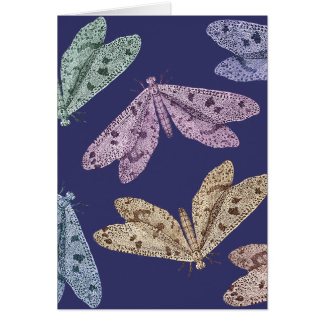 DiderotのEncylopediaからの夜ガ飛行中に (正面)