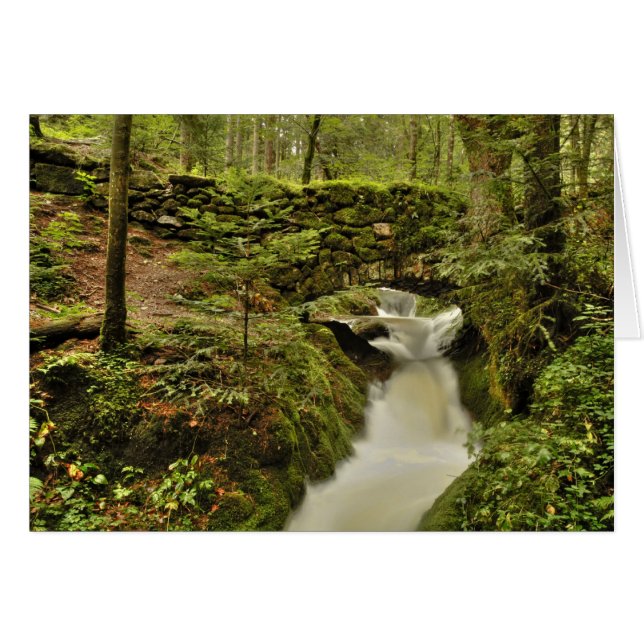 die alte Brücke Grusskarte (正面横)