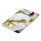 Die Asiatische Blütenmantis マグネット (左側)