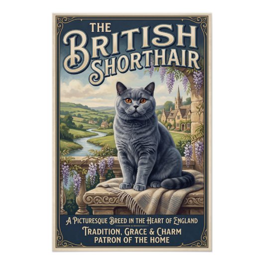 Die Britisch Kurzhaar  ポスター (正面)
