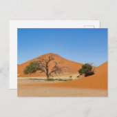 Die Dünen des Sossusvlei in Namibia ポストカード (正面/裏面)