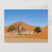 Die Dünen des Sossusvlei in Namibia ポストカード (正面)