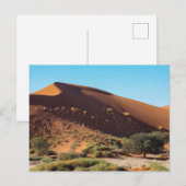 Die Dünen des Sossusvlei in Namibia Postkarte ポストカード (正面/裏面)