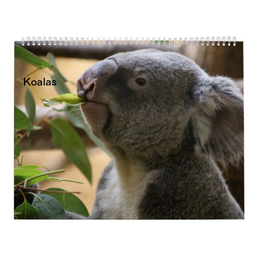 Die Koalas カレンダー (カバー)