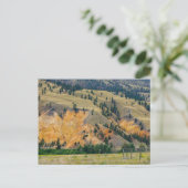 Die Painted Hills bei Clinton in British Columbia ポストカード (スタンド正面)
