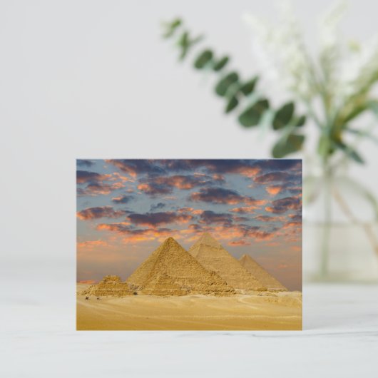 Die Pyramiden ポストカード (スタンド正面)