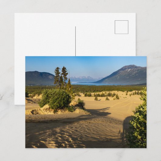 Die Wüste von Carcross in Kanada ポストカード (正面/裏面)