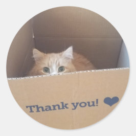 Diego the Cat Thankステッカー ラウンドシール
