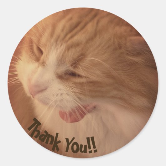 Diego the Cat Thank You Stickers ラウンドシール (正面)