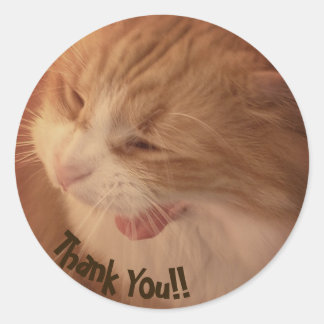 Diego the Cat Thank You Stickers ラウンドシール