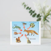 dietaraposa11エスケマディダティコダラポサ ポストカード (スタンド正面)