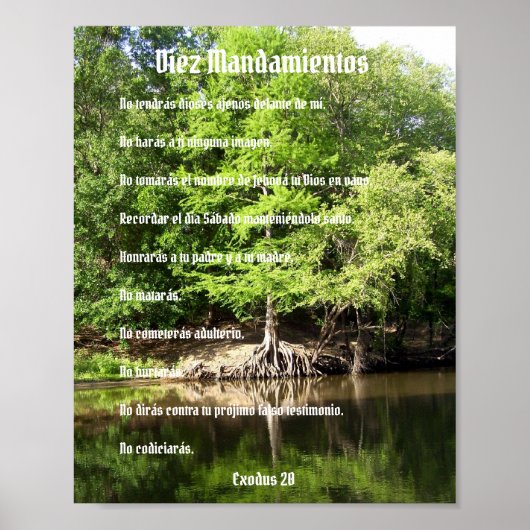 Diez Mandamientos - Cipres en el Pantanoポスター ポスター (正面)
