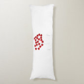 Difference Maker Direct Supportプロフェッショナル・ギフト ボディピロー (正面縦)