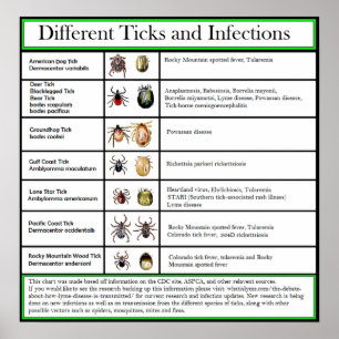 Different Ticks and Infections Chart ポスター