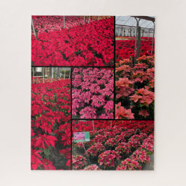 Difficult Christmas Poinsettias 500 pieces ジグソーパズル