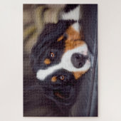 Difficult Pets 20" x 30" ジグソーパズル (縦)