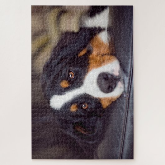 Difficult Pets 20" x 30" ジグソーパズル (縦)