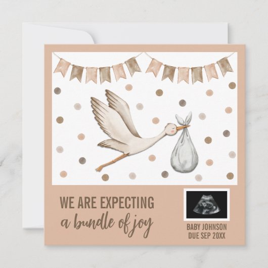 Digital Boho Stork Gender Neutral Ultrasound 案内状 (正面)