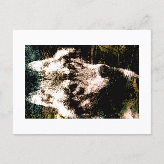 Digital Remix Art : Wolf Postcard Print by JHT ポストカード (正面)