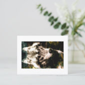 Digital Remix Art : Wolf Postcard Print by JHT ポストカード (スタンド正面)