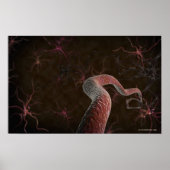 Digital rendering of neurons ポスター (正面)