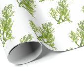 Dill Art ラッピングペーパー (ロールコーナー)