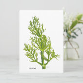 Dill Art 招待状 (スタンド正面)