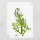 Dill Art 招待状 (正面/裏面)