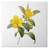 Dillenia タイル (正面)