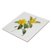 Dillenia タイル (側面)