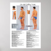 Dim Mak Death Striking Pointsポスター24 X 36 ポスター (正面)