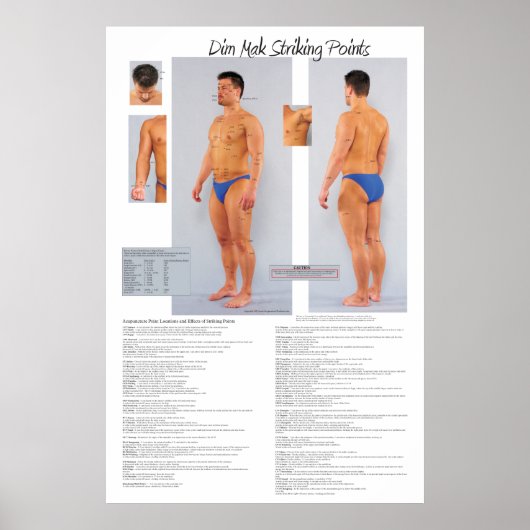 Dim Mak Death Striking Pointsポスター24 X 36 ポスター (正面)