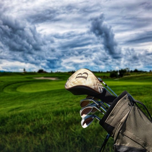 Dimensional Square-Bゴルフヘッドカバー ゴルフヘッドカバー