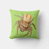 Dimorphic Jumping Spider (Maevia inclemens) クッション (正面)