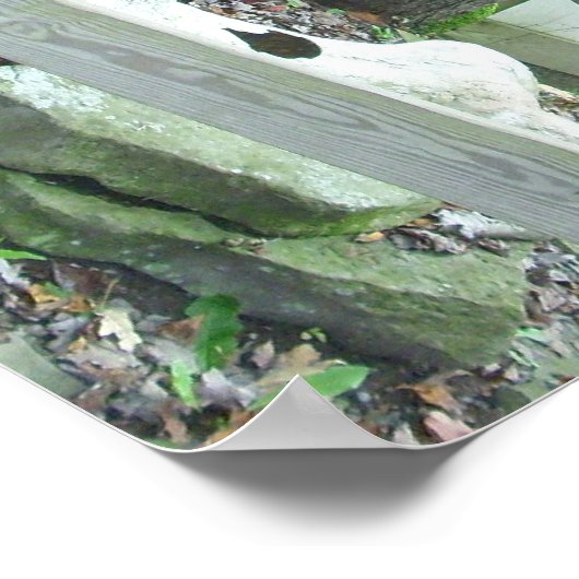 Dinasaurポスター ポスター (角)