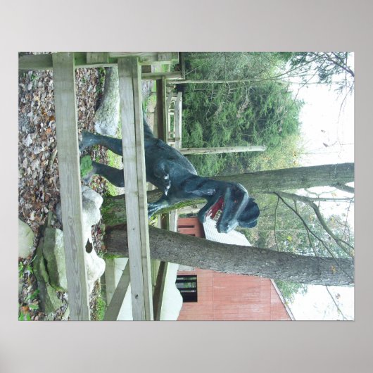 Dinasaurポスター ポスター (正面)