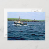 Dingle Fungi dolphin.jpg ポストカード (正面/裏面)