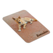 Dingoフォトマグネット マグネット (右側)