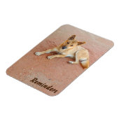 Dingoフォトマグネット マグネット (左側)