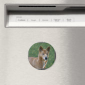 dingo_10x10 マグネット (インサイチュ (食洗機))
