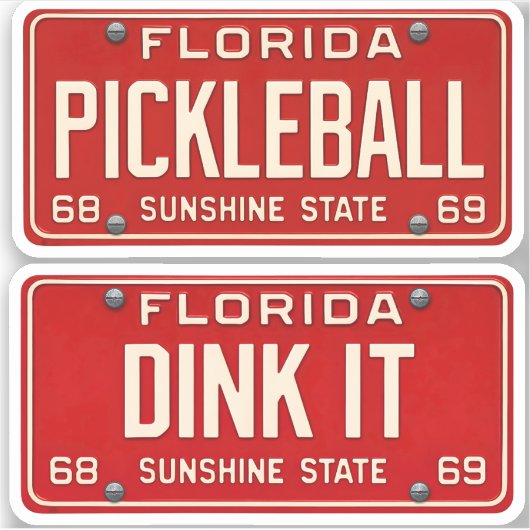 Dink It Pickleball Fan Retro FL License Plate 2pc シール (正面)