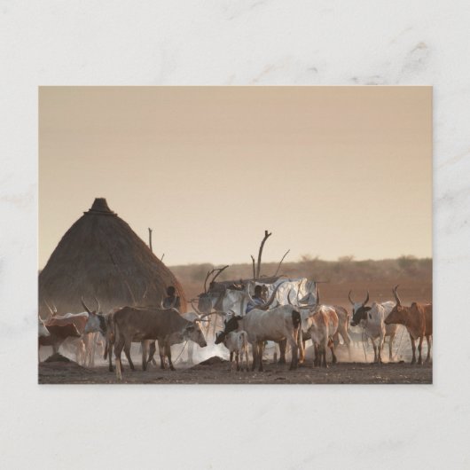 Dinka民族グループの村マラカル ポストカード (正面)