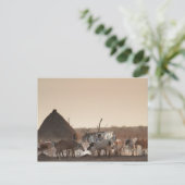 Dinka民族グループの村マラカル ポストカード (スタンド正面)