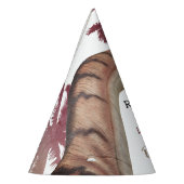 Dino Eggs, Children's Dinosaude Party パーティーハット (左)