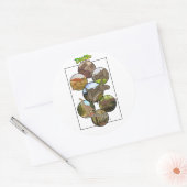 Dino Zoo:恐竜コラージュ#2 ラウンドシール (封筒)