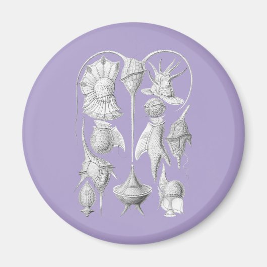 Dinoflagellates マグネット (正面)