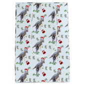 Dinosaur Christmas Wrapping Paper Roll ミディアムペーパーバッグ (裏面)