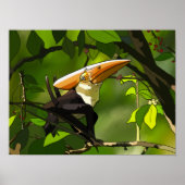 Dinosaur Poster - Thalassodromeus Toucan ポスター (正面)